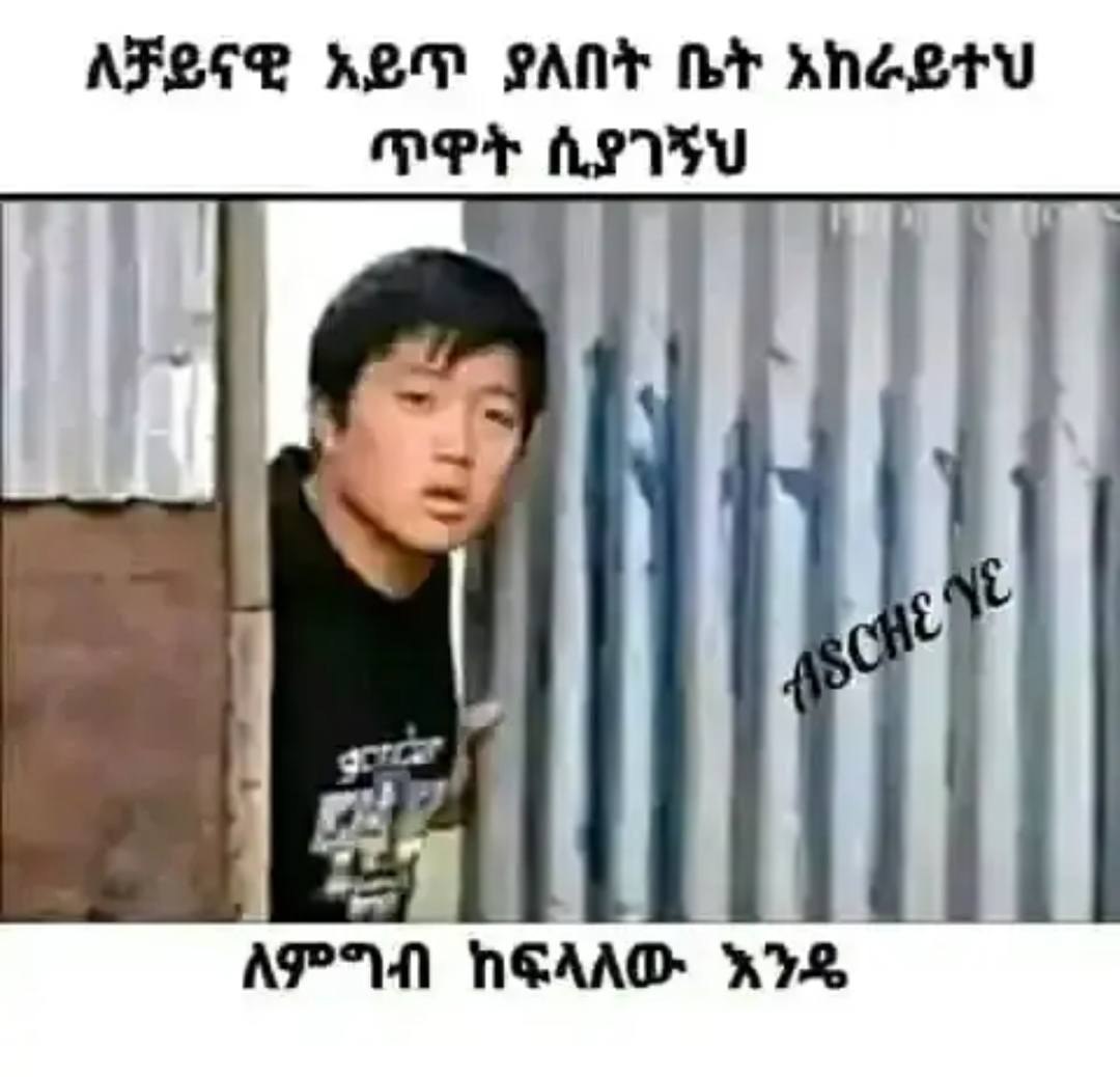 ለቻይናዊ አይጥ ያለበት ቤት አከራይተህ ጥዋት ሲያገኝህ AFSIE ALD PANE Br ANGLTV PPT heyy